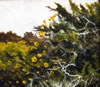 Jackson Hensley Gallery: Image